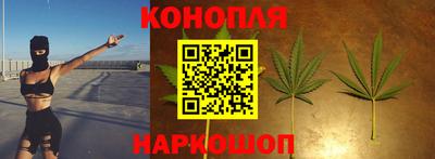 стаф Шебекино