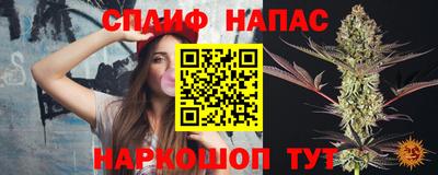 стаф Шебекино