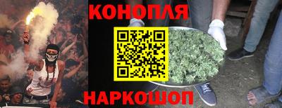 apvp Шелехов