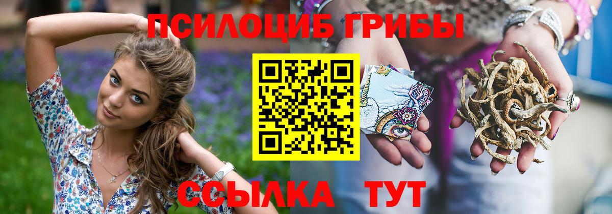 Славгород  Псилоцибиновые грибы мухоморы  наркотики  Галлюциногенные грибы MAGIC MUSHROOMS  Вход с VPN 